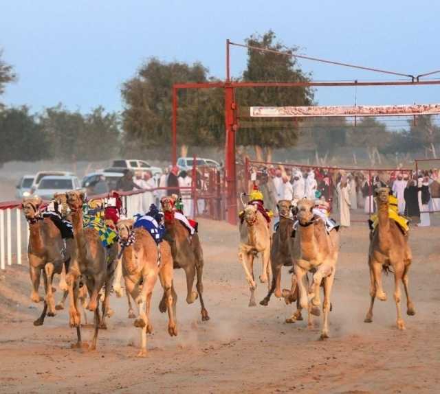 مهرجان سنوي لركض العرضة بالقابل