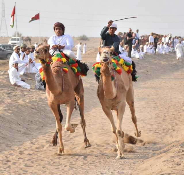 الرستاق تتوج بمسابقة ركض العرضة بجنوب الباطنة