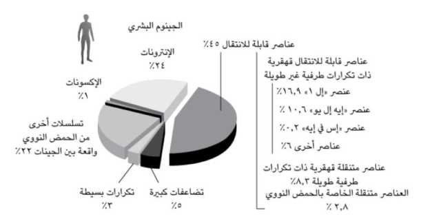 الطب الدقيق و الجينوم البشري: مسار جديد في علاج الأمراض