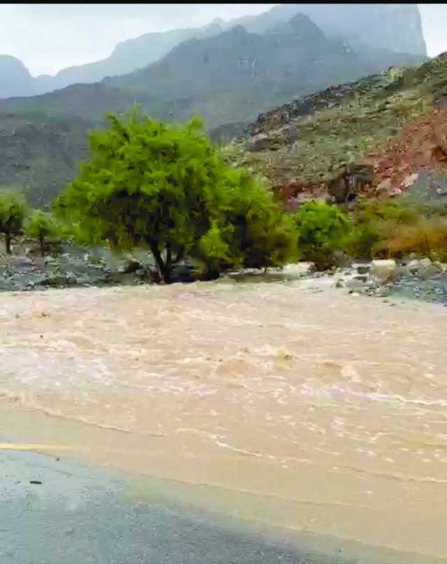 أمطار متفاوة الغزارة على العوابي