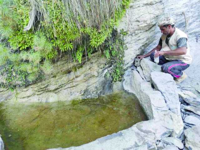 نشر بذور أشجار معمرة في محمية أضواء النجوم