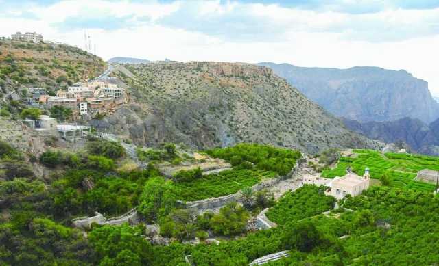 الجبل الأخضر.. سلّة فواكه تنتظر الاستغلال