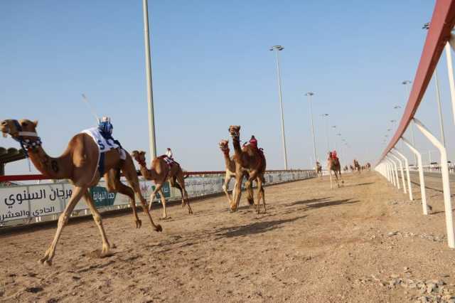 18 شوطا في انطلاق المحطة الثالثة لسباقات الهجن بأدم