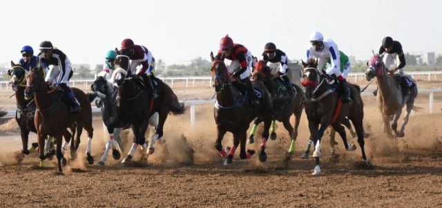 8 أشواط في ثاني سباقات الخيل بمضمار الرحبة