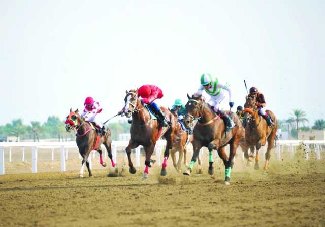 وهاج يفوز بكأس العيد الوطني للخيول العربية الأصيلة