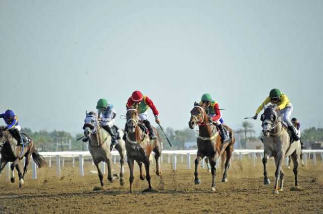 8 أشواط في السباق السادس للخيول العربية الأصيلة ببركاء