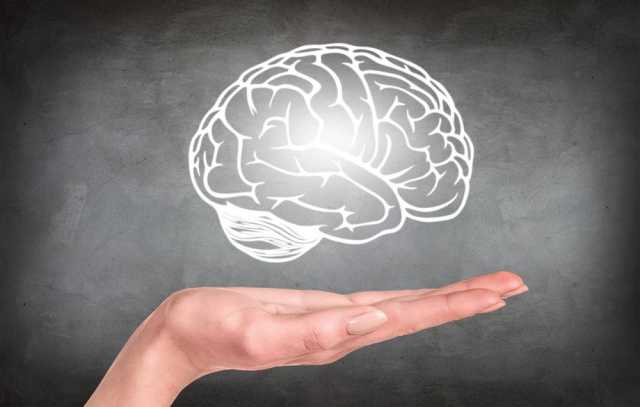«بنك الدماغ» كيف يمكن للجهد العقلي بناء احتياطي معرفي ضد شيخوخة الدماغ؟