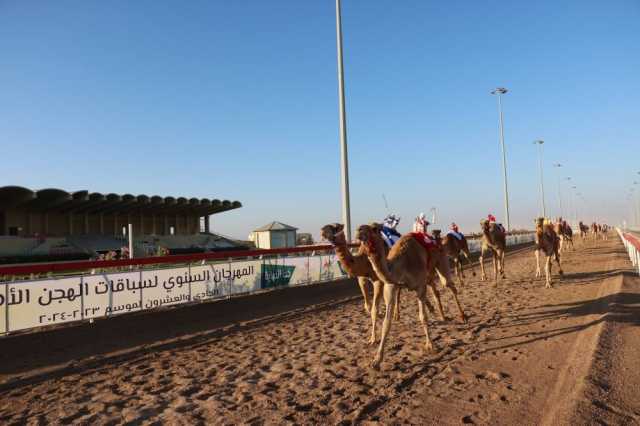 بدء منافسات المهرجان السنوي لسباقات الهجن الأهلية بأدم