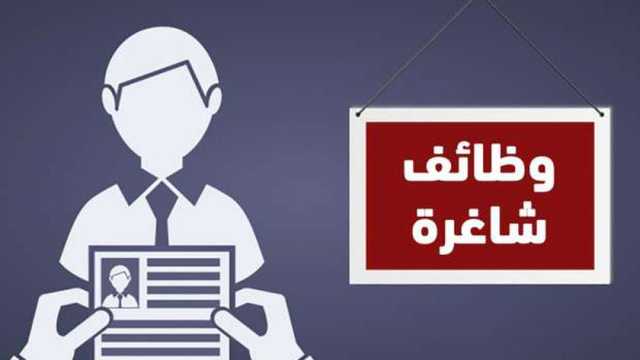 وظائف مبيعات بمرتب يصل إلى 15 ألف جنيه.. «لا يشترط مؤهل عالي»