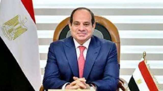 السيسي: مجتمع رجال الأعمال المصري حريص على مواصلة العمل مع نظيره الدنماركي