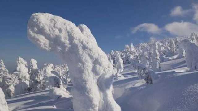 جبل زاو.. موطن وحوش الثلج في اليابان