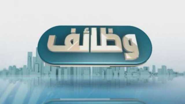 وزارة الشباب تعلن عن وظائف شاغرة بإحدى شركات القطاع الخاص.. اعرف الشروط