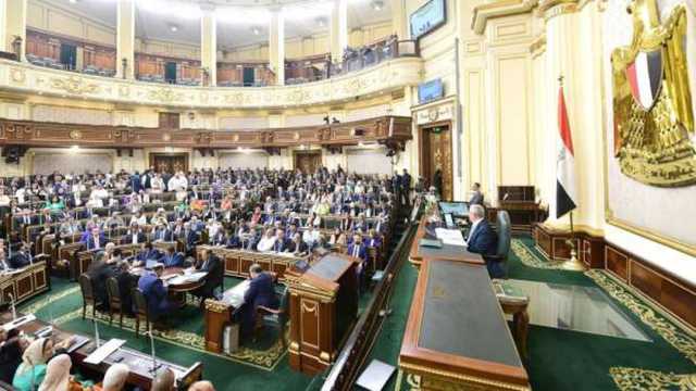 «النواب» يبدأ صياغة وثيقة بالموقف المصري تجاه القضية الفلسطينية وخطورة التهجير على الأمن الإقليمي