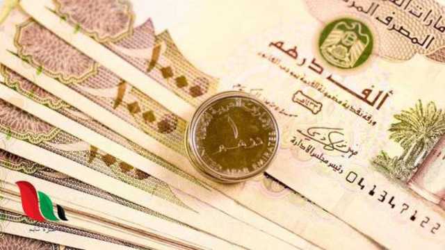 سعر الدرهم الإماراتي اليوم السبت 14-12-2024 مقابل الجنيه المصري