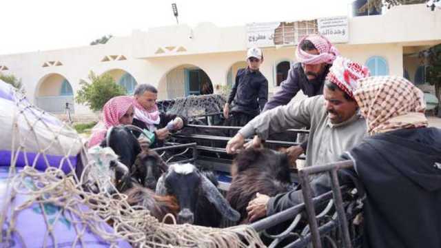 مدير «تنمية موارد مطروح»: إطلاق مشروعات لدعم 700 سيدة معيلة بالمناطق الصحراوية