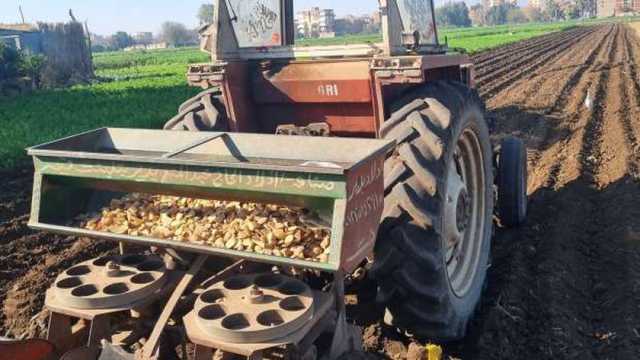 تغرس الفدان في ساعتين.. «الستارة» أسرع مُعدة لزراعة البطاطس بالمنوفية