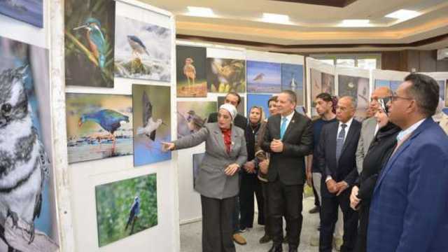 جامعة دمياط تطلق مهرجان الطيور المهاجرة لتنشيط السياحة البيئية