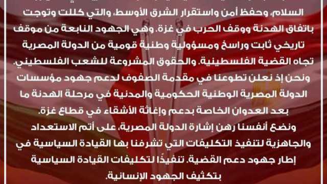 شباب مصر: متطوعون في حب بلدنا ودعم القضية الفلسطينية