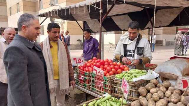 انطلاق سوق اليوم الواحد في منطقة بشاير الخير بالإسكندرية.. منتجات متنوعة