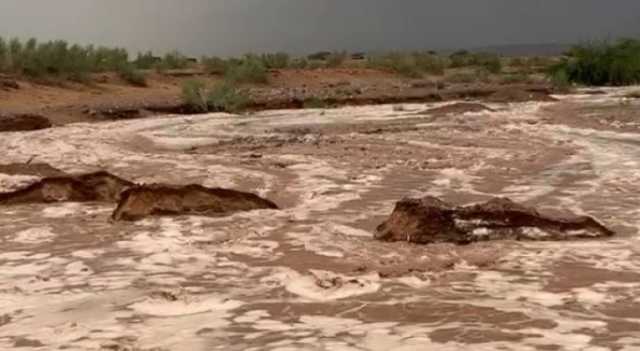 مراسل رؤيا: سيول جارفة جراء الأمطار الغزيرة في الديسة