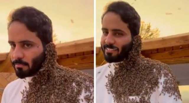 أسراب من النحل تغطي السعودي عبدالرحمن المطيري