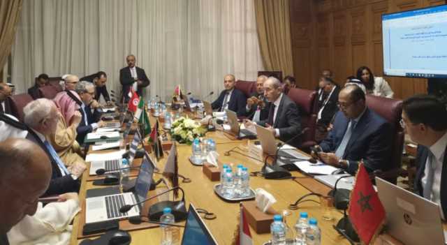 الصفدي يؤكد مواقف الأردن الداعمة للجهد العربي الجمعي