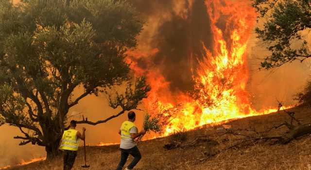 اندلاع حريق في غابات بالجزائر