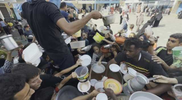 توزيع مساعدات إنسانية وإعداد الطعام في مدرسة تضم نازحين في رفح