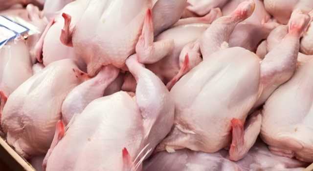 ضبط كميات من الدجاج غير صالحة للاستهلاك البشري في الكرك