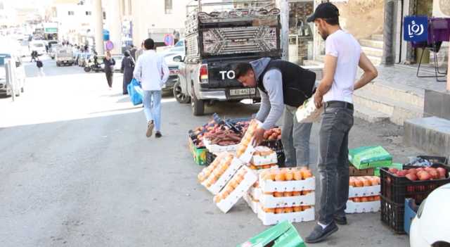 للحد من البطالة.. محاولات للإدماج الشباب في الطفيلة بسوق العمل | تقرير