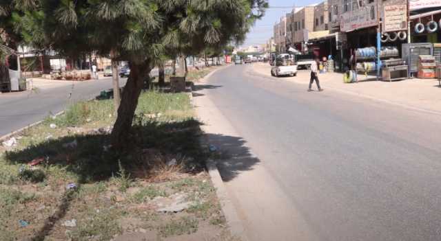 الأشجار الحرجية تهدد سلامة المارة والسائقين في إربد
