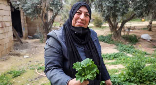 إلى أين وصل الأردن في الأمن الغذائي.. وبماذا دعم المزارعين؟