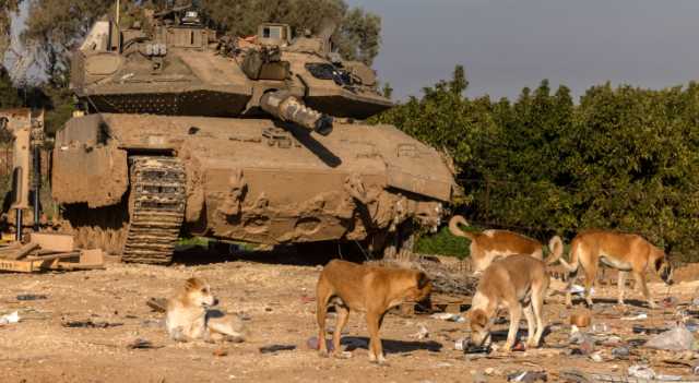 بعد مهاجمتهم.. الاحتلال يحذر جنوده من جلب كلاب من غزة لمنازلهم