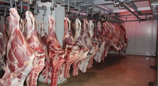 الصناعة والتجارة: ارتفاع أسعار اللحوم المبردة المستوردة في الأردن
