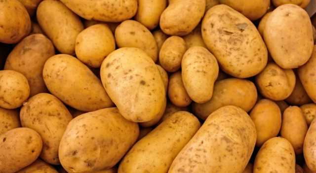 مخاوف من شح البطاطا وارتفاع أسعارها في الأسواق الأردنية - فيديو