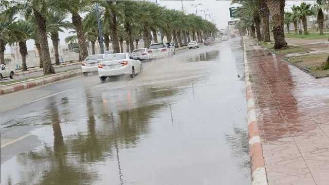 الدفاع المدني ينبه بهطول أمطار رعدية بدءً من الغد