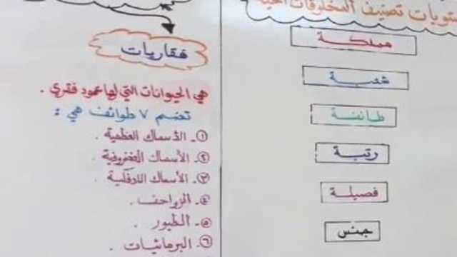 معلم ينظم سبورة الفصل بطريقة مذهلة