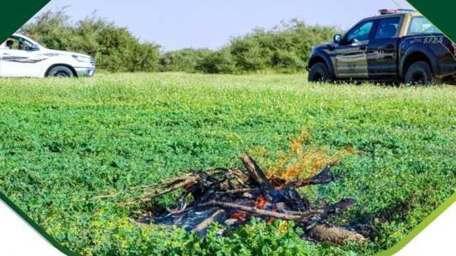 ضبط 14 مُخالفاً لنظام البيئة لإشعالهم النار في أراضي الغطاء النباتي بعسير