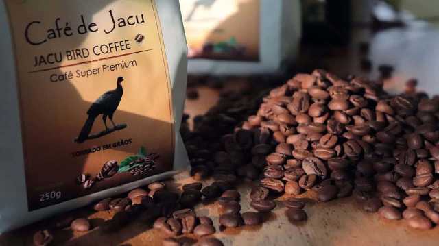 البرازيل تستخرج أغلى أنواع القهوة من روث طائر!