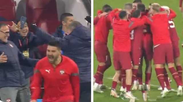 فرحة جنونية من ميتروفيتش بعد التأهل إلى اليورو .. فيديو