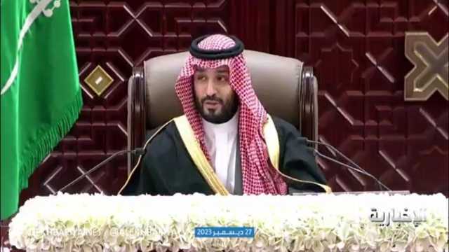 ولي العهد: الاقتصاد السعودي الأسرع نموا ضمن مجموعة العشرين .. فيديو