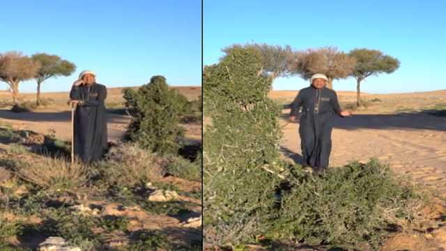 الزعاق : غدا ستصل الشمس إلى أقصى ميل لها ناحية الجنوب.. فيديو