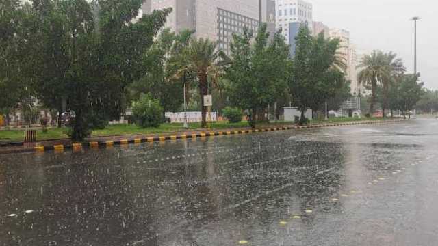 زياد الجهني: سيكون ثلث فبراير الثاني مميزًا