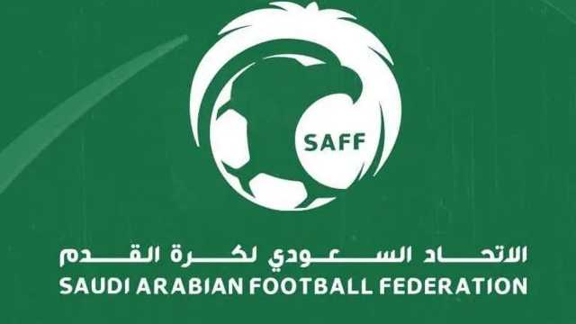 اتحاد الكرة يطرح مشروع الاستثمار في الملاعب غير التابعة للقطاع الرياضي