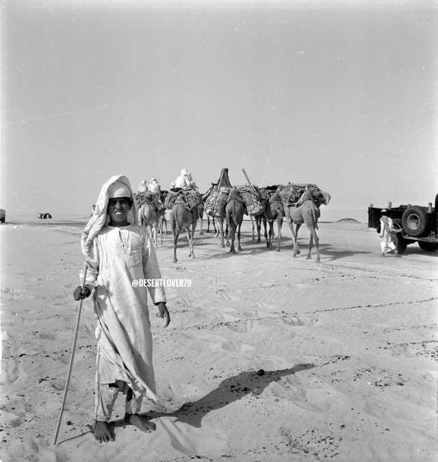 قافلة من الجمال بالقرب من بادية بقيق عام 1947م