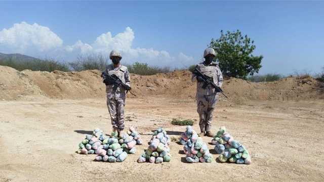 القبض على 4 مخالفين لتهريبهم 47 كيلوجرامًا من نبات القات المخدر بجازان