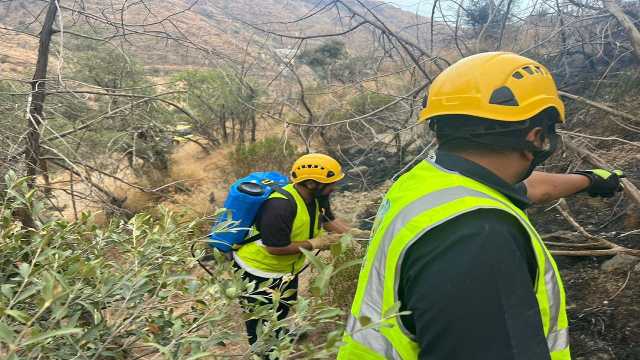 الدفاع المدني يخمد حريقًا في أشجار وأعشاب بمنطقة جبلية وعرة بميسان