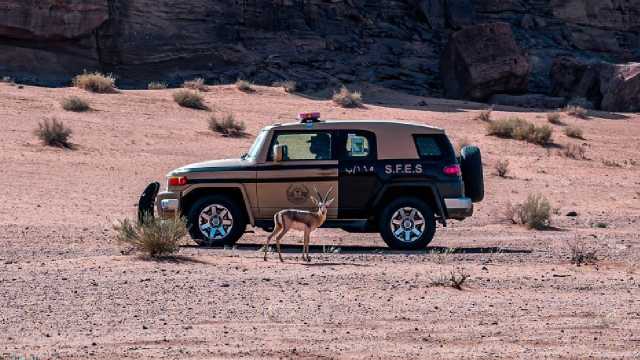 القبض على مخالف لارتكابه مخالفة الصيد بمحمية الملك عبدالعزيز الملكية