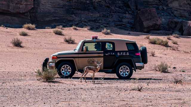 ضبط مواطنًا مخالفًا لنظام البيئة لإشعاله النار بأراضي الغطاء النباتي