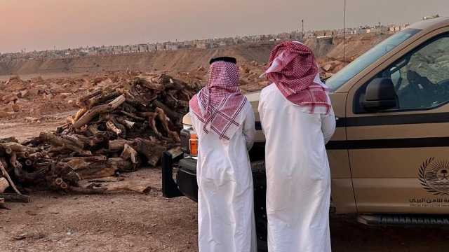 ضبط مواطنين لتخزينهما حطبًا محليًا في منطقة الرياض